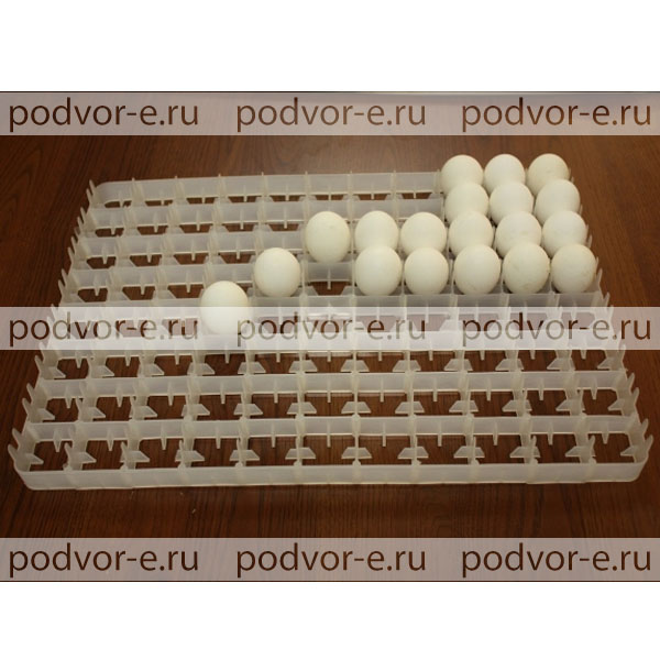 Лоток для  куриных яиц к инкубаторам АИ