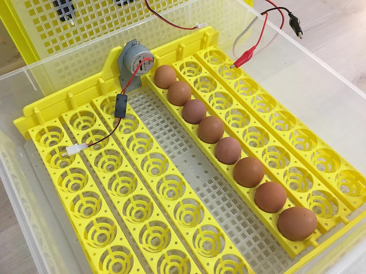 Инкубатор на 48 яиц
