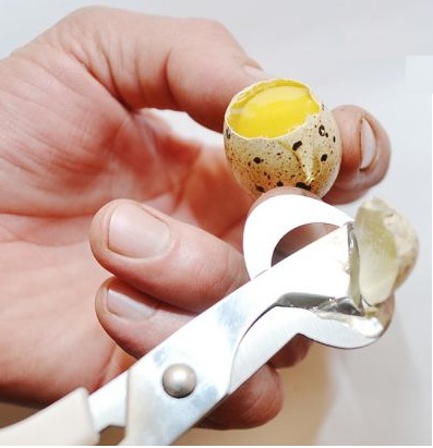 Ножницы для перепелиных яиц