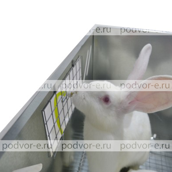 Клетка для откорма кроликов "ПРОФЕССИОНАЛ" 55-КО-2