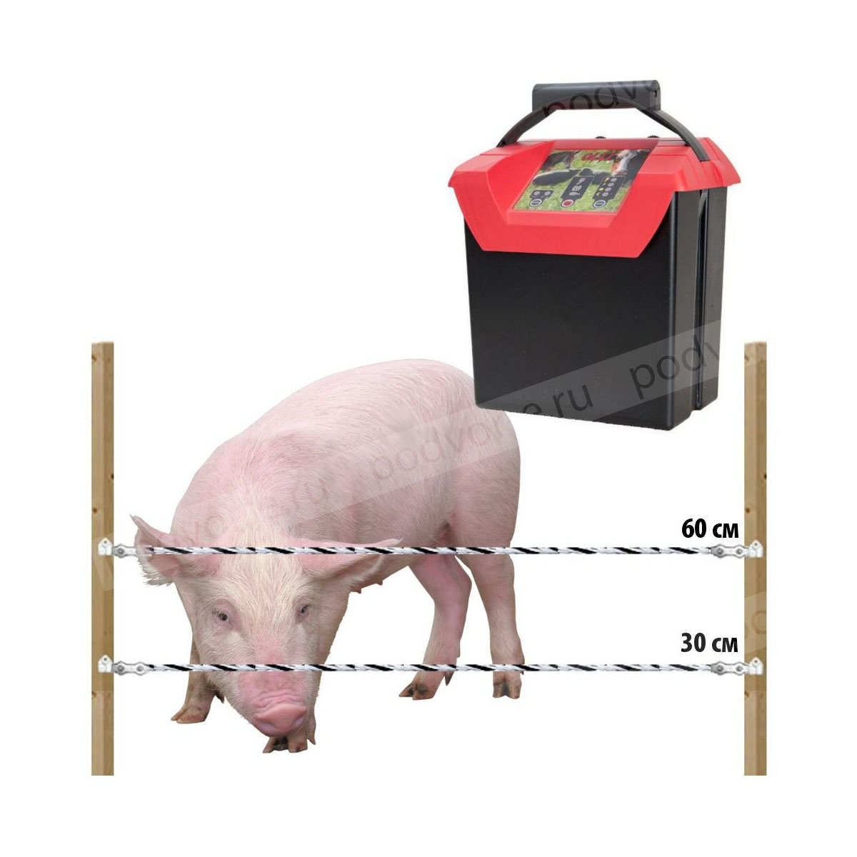 Электропастух комплект для свиней 9В/12В на 500 м