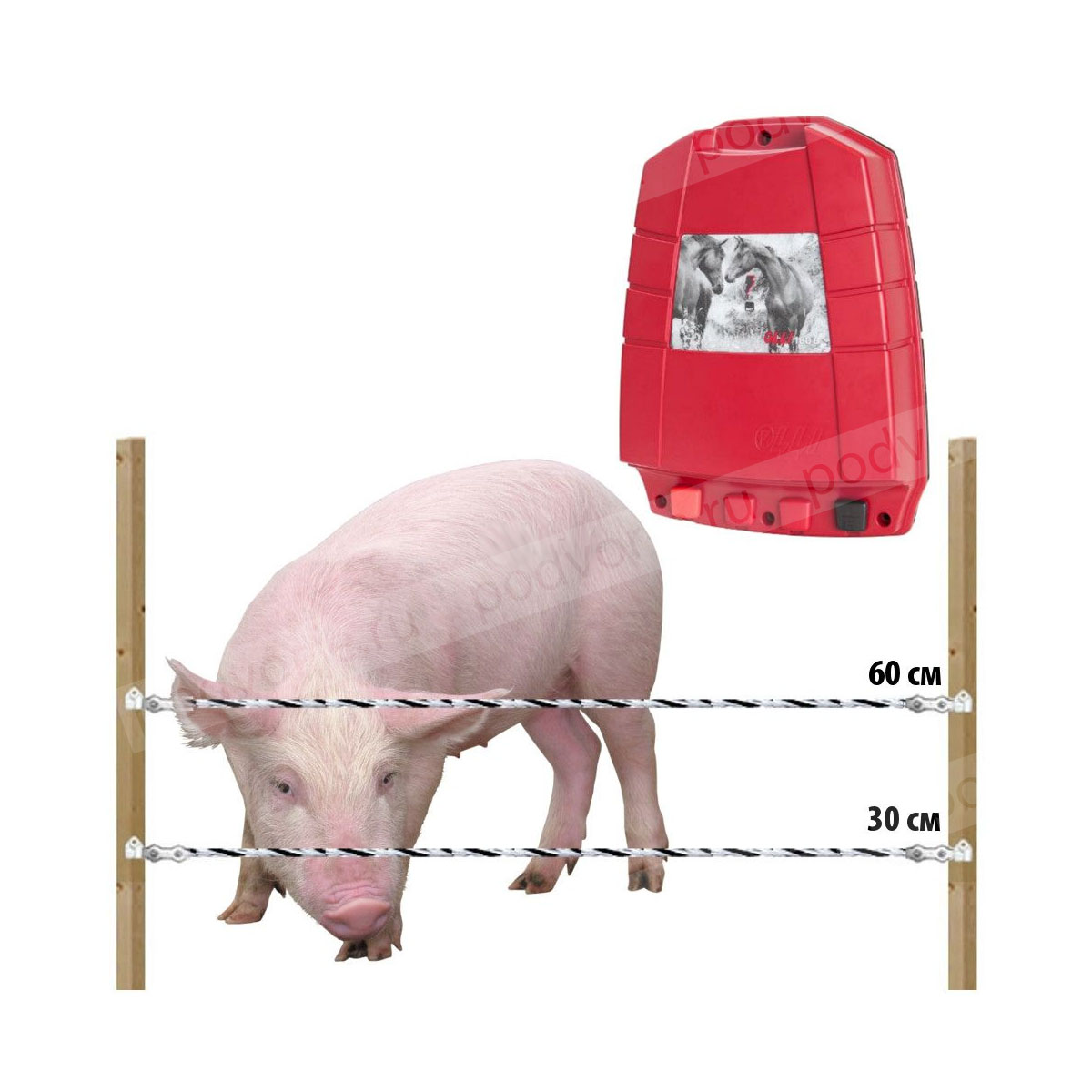 Электропастух комплект для свиней 12 В на 1000 м