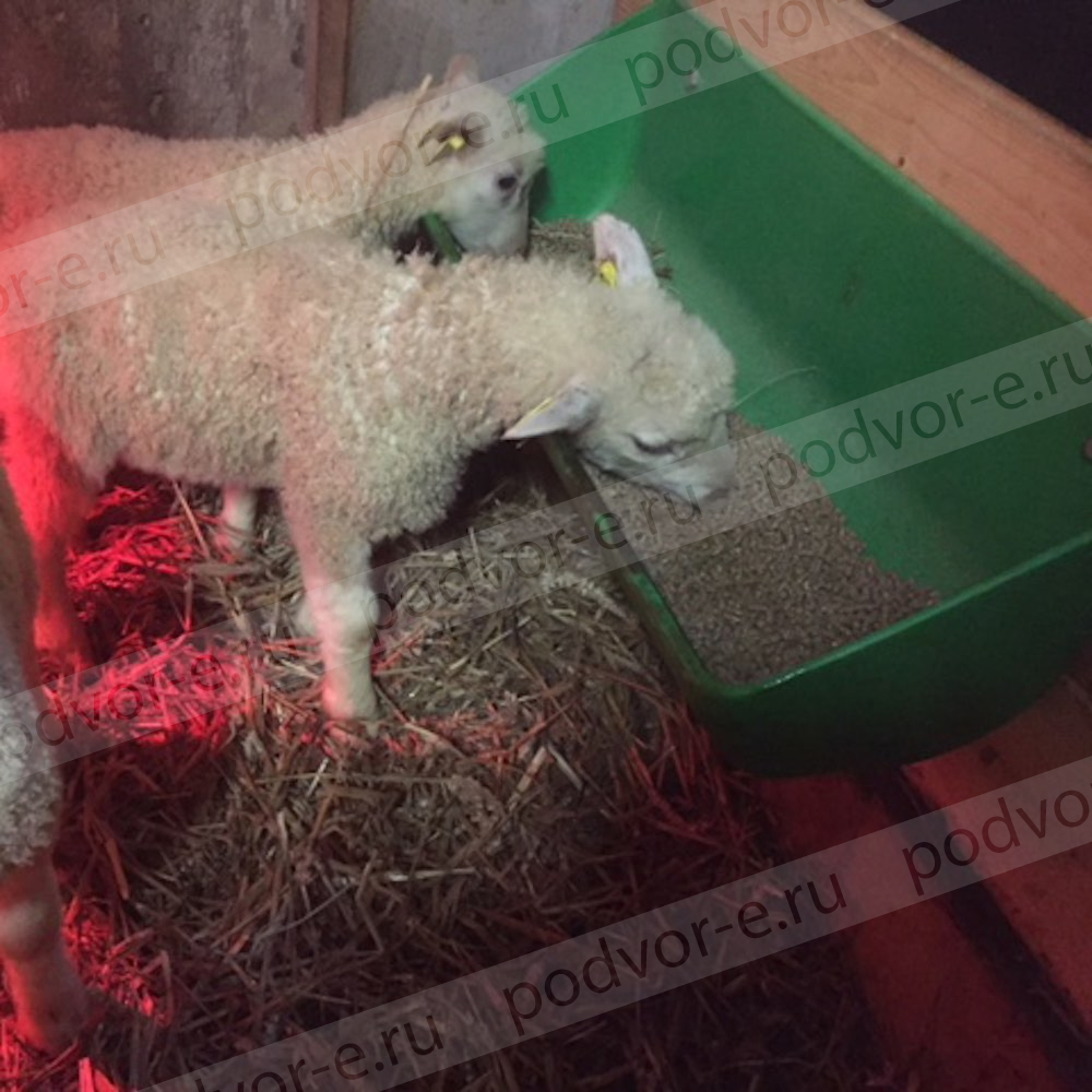 Кормушка для овец 10 л OK Plast - 150