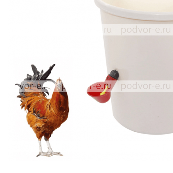 Поилка чашечная для цыплят