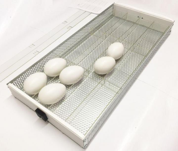 Перегородки для яиц к инкубатору OVO
