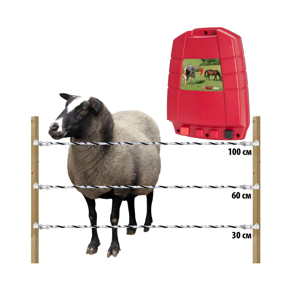 Электропастух комплект для овец 220В на 1000 м