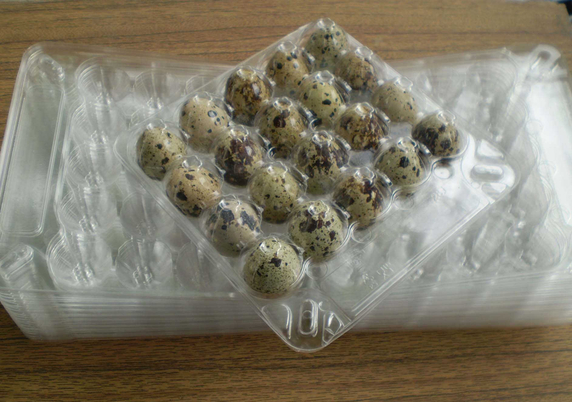 Комплект упаковка на 20 перепелиных яиц (10 шт)