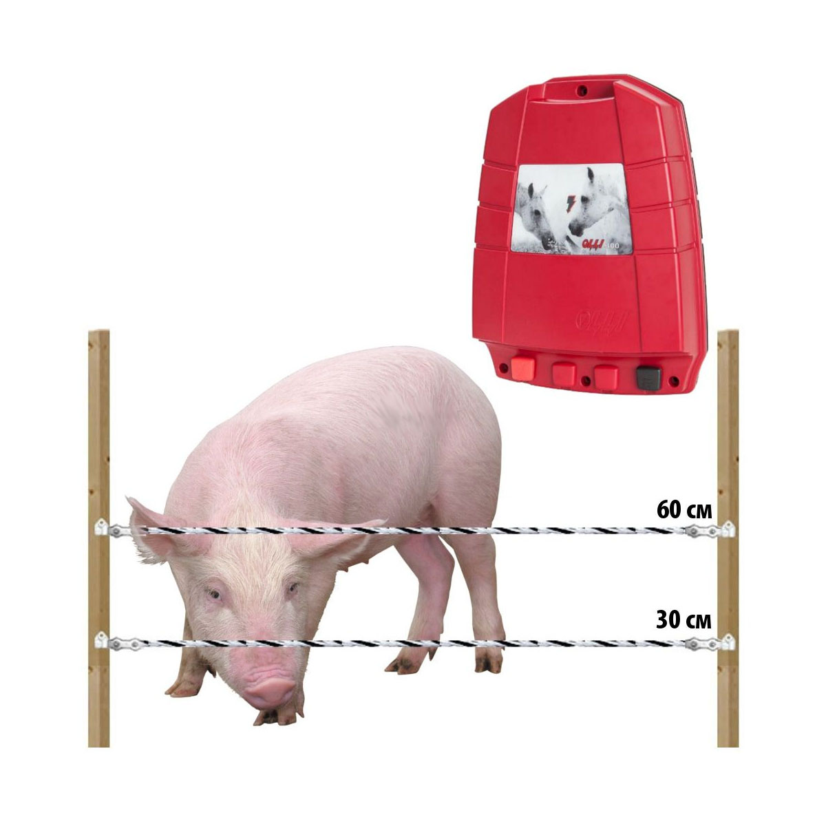 Электропастух комплект для свиней 220 В на 500 м