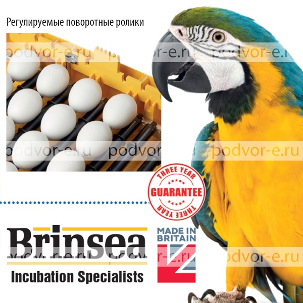 Инкубатор Brinsea 28 Ovation Zoologica