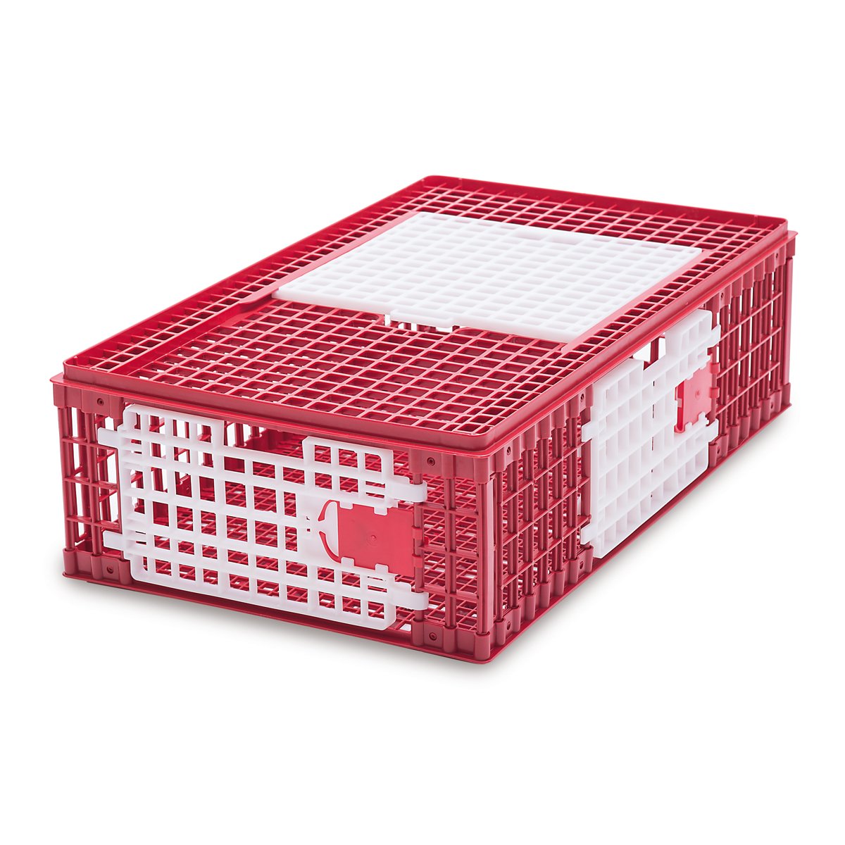 Ящик для перевозки животных с щенком и аксессуарами