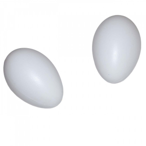 Яйцо подкладное для гусей