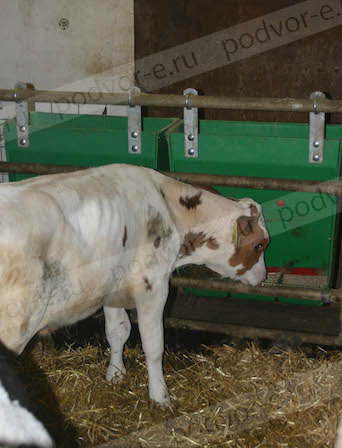 Кормушка для овец бункерная 60 л OK Plast - 444