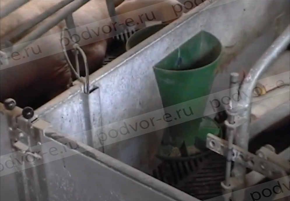 Кормушка пластиковая для подсосных поросят 5 л, OK Plast - 301