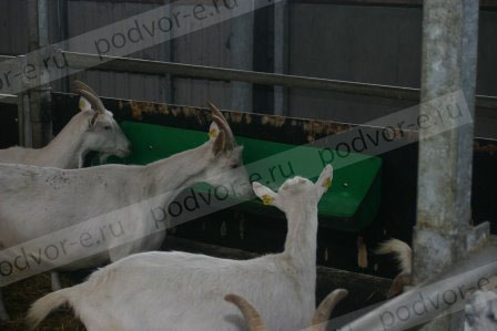 Кормушка для овец 10 л OK Plast - 150