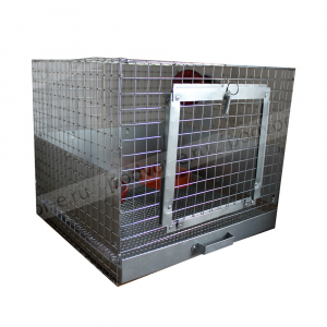 Брудер для цыплят Лайт