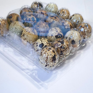 Упаковка для 20 перепелиных яиц Овал