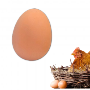 Яйцо искусственное резиновое