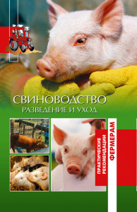 Свиноводство. Разведение и уход
